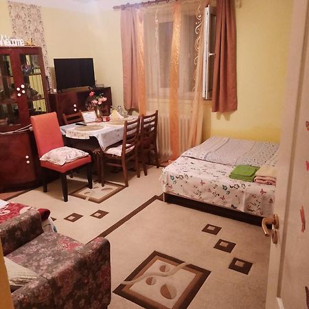 Apartament Cu Doua Camere Si Gradina Cluj-Napoca Eksteriør billede