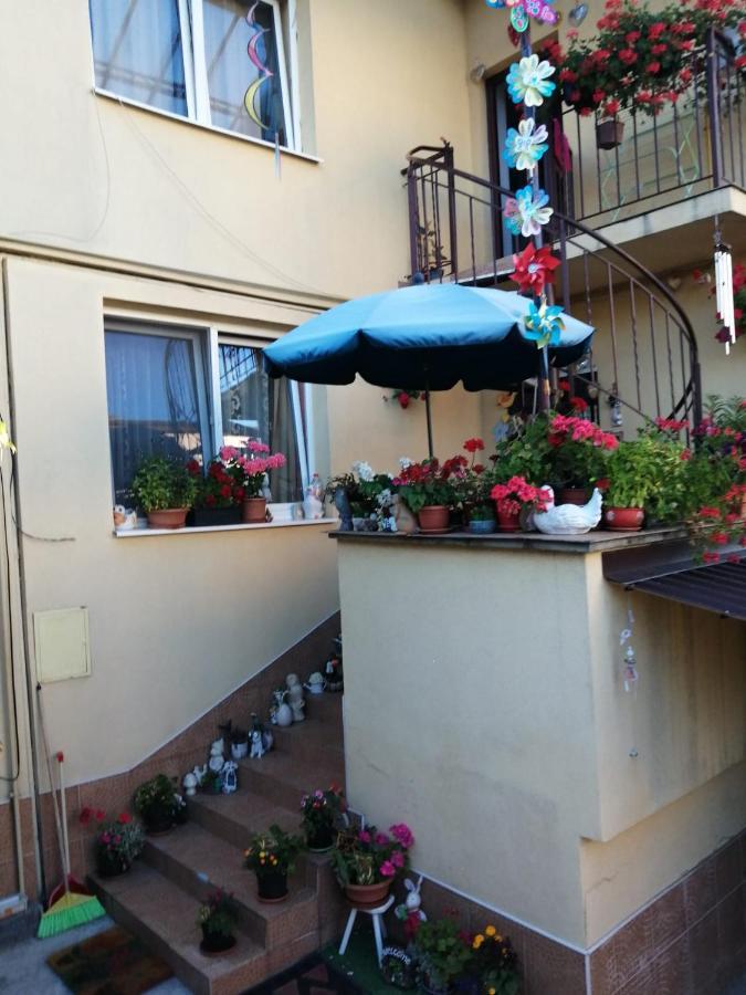 Apartament Cu Doua Camere Si Gradina Cluj-Napoca Eksteriør billede