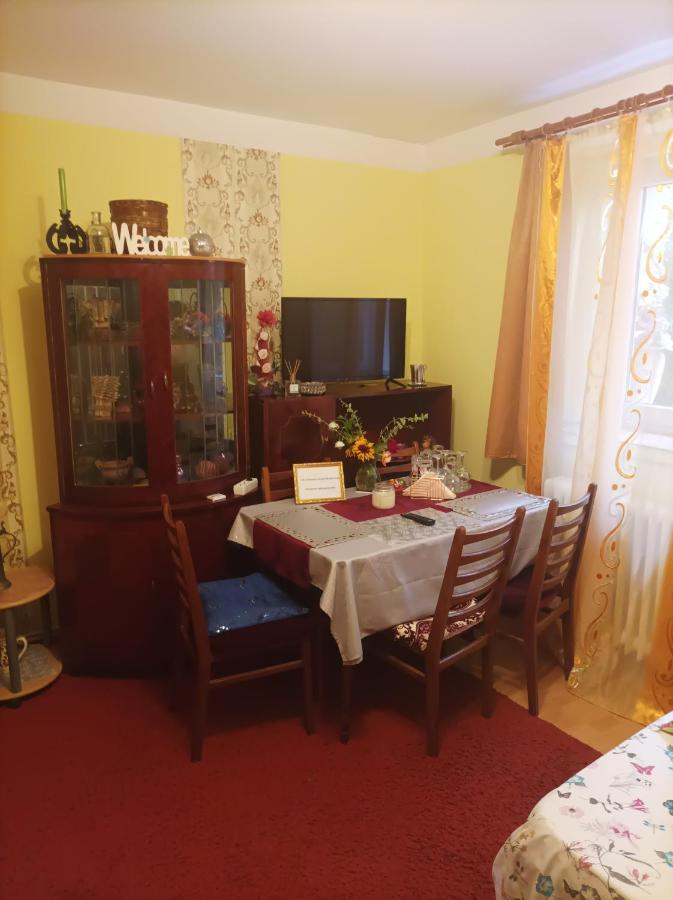 Apartament Cu Doua Camere Si Gradina Cluj-Napoca Eksteriør billede