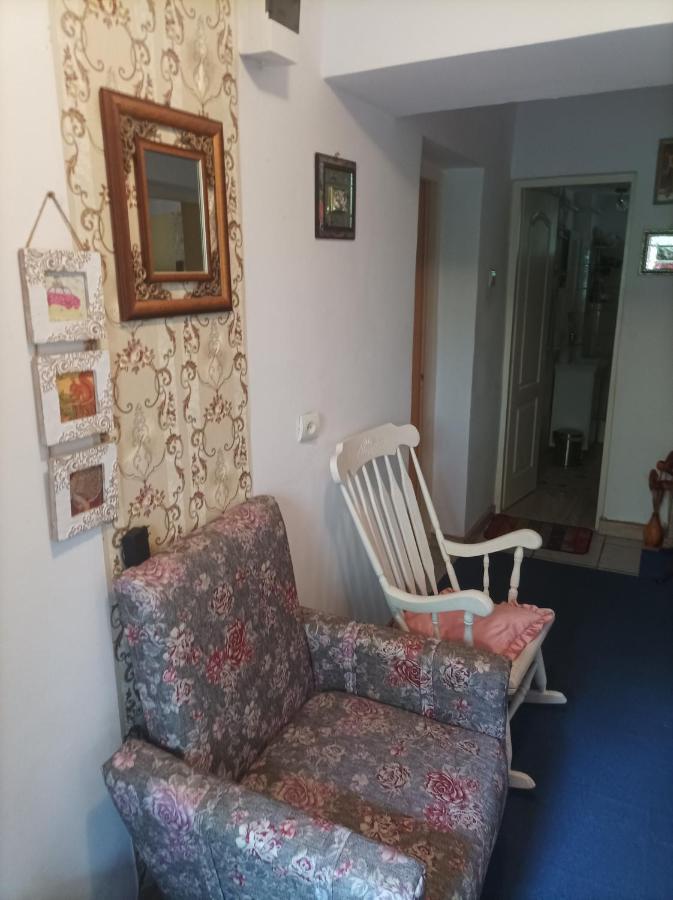 Apartament Cu Doua Camere Si Gradina Cluj-Napoca Eksteriør billede