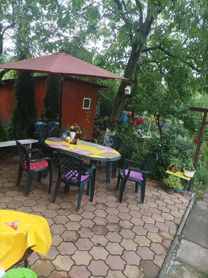 Apartament Cu Doua Camere Si Gradina Cluj-Napoca Eksteriør billede
