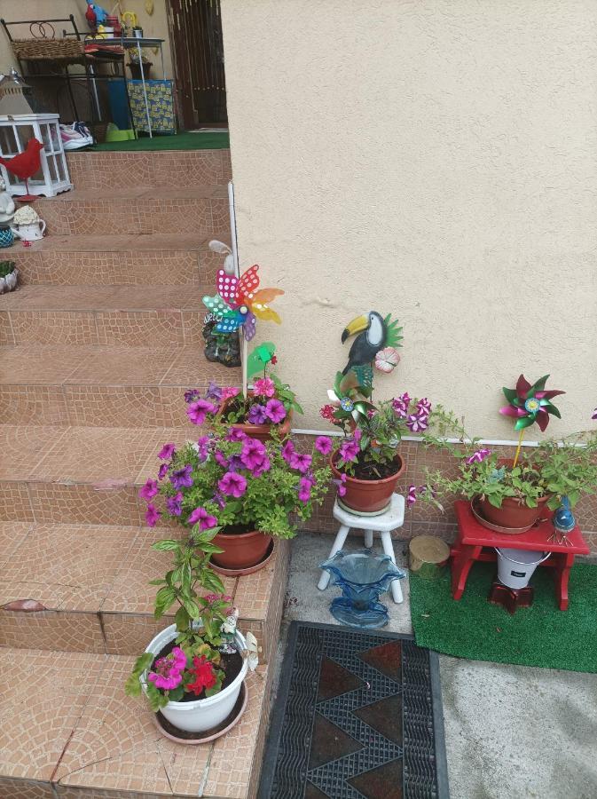 Apartament Cu Doua Camere Si Gradina Cluj-Napoca Eksteriør billede