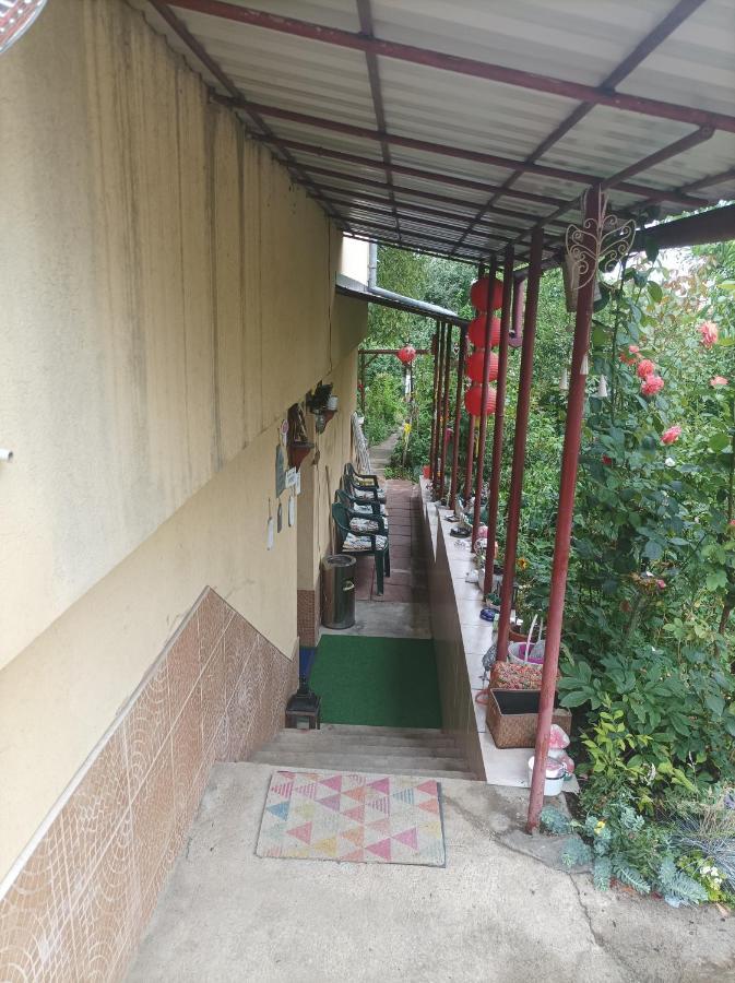 Apartament Cu Doua Camere Si Gradina Cluj-Napoca Eksteriør billede