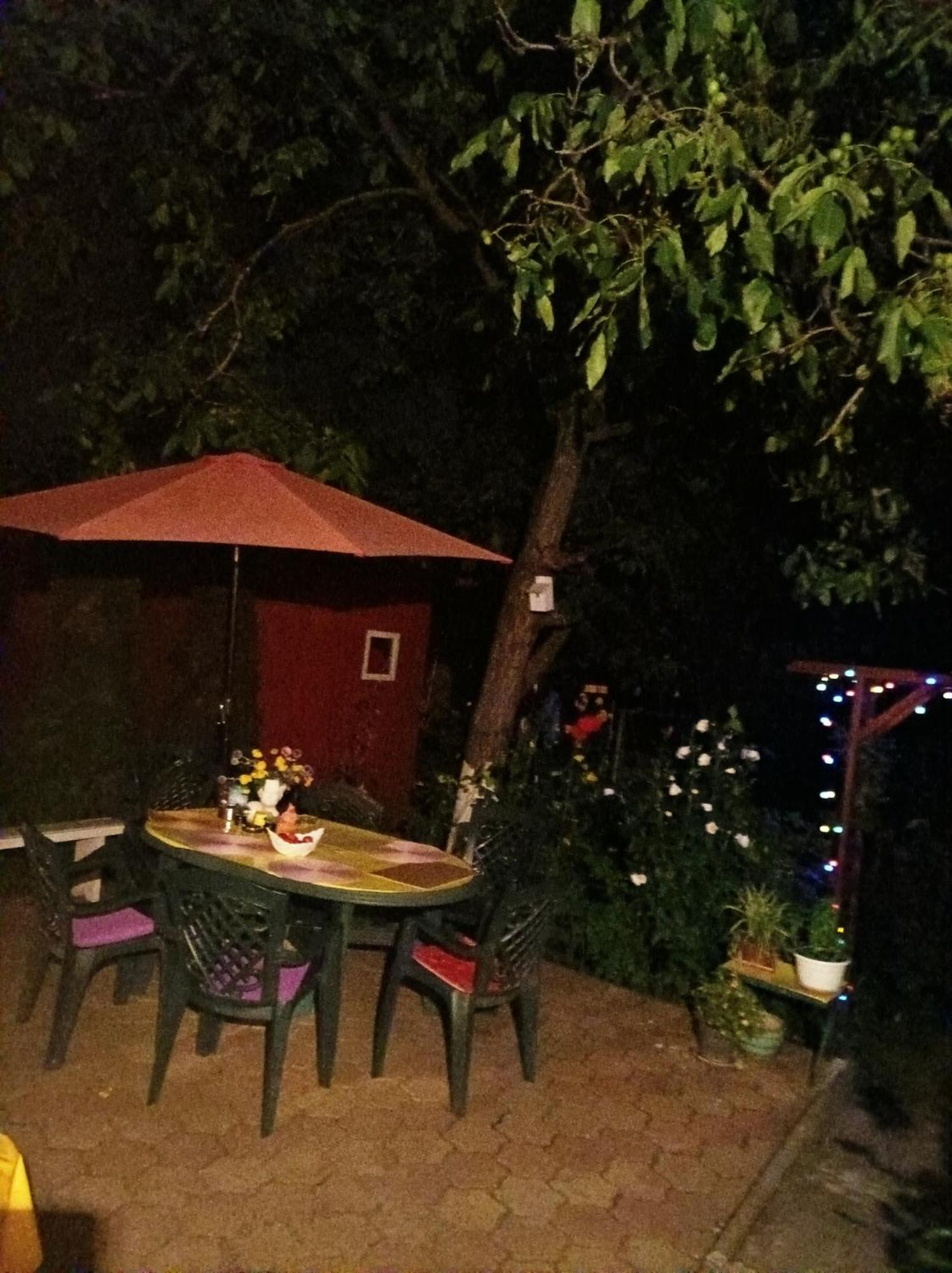 Apartament Cu Doua Camere Si Gradina Cluj-Napoca Eksteriør billede
