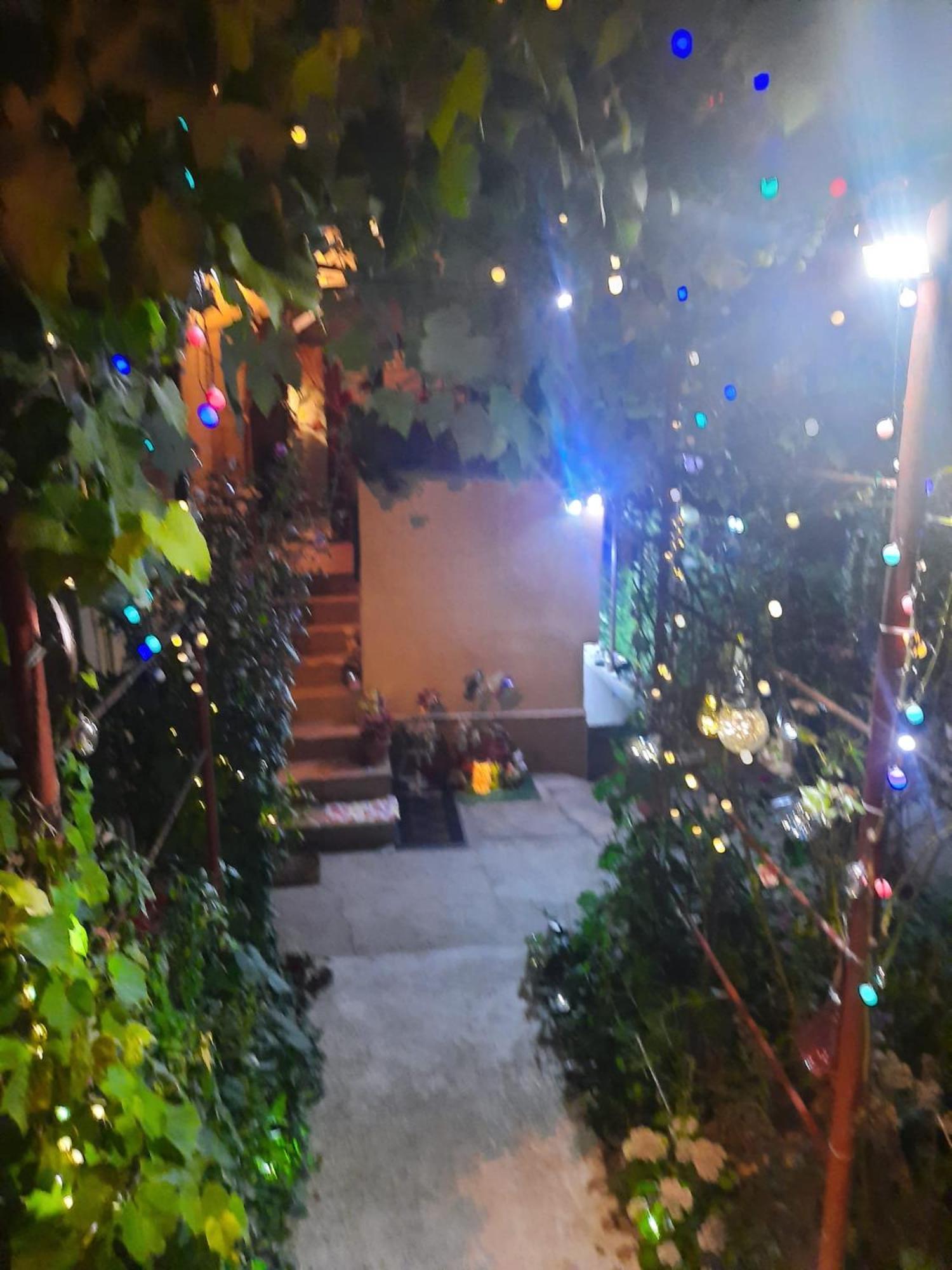 Apartament Cu Doua Camere Si Gradina Cluj-Napoca Eksteriør billede