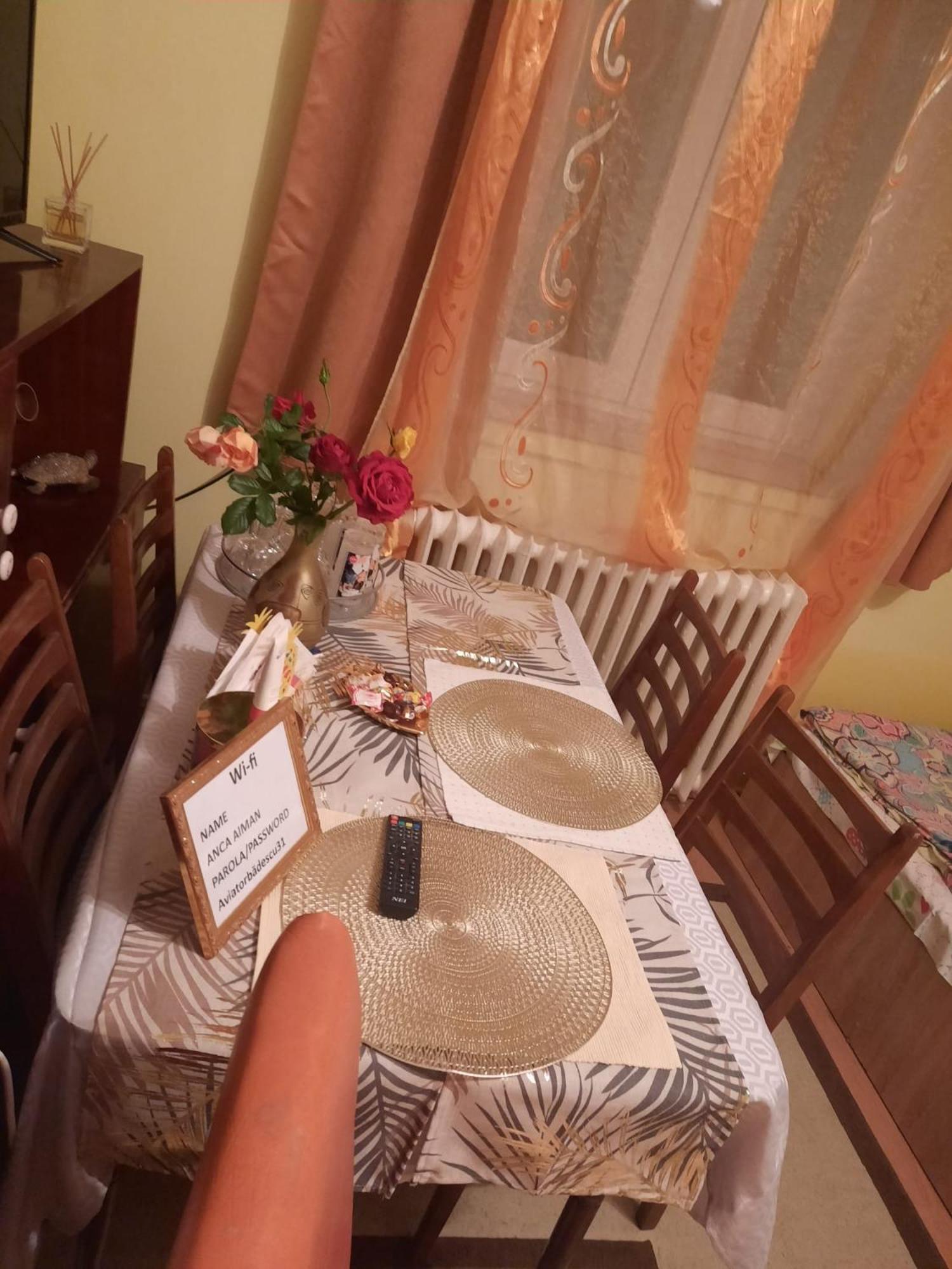 Apartament Cu Doua Camere Si Gradina Cluj-Napoca Eksteriør billede
