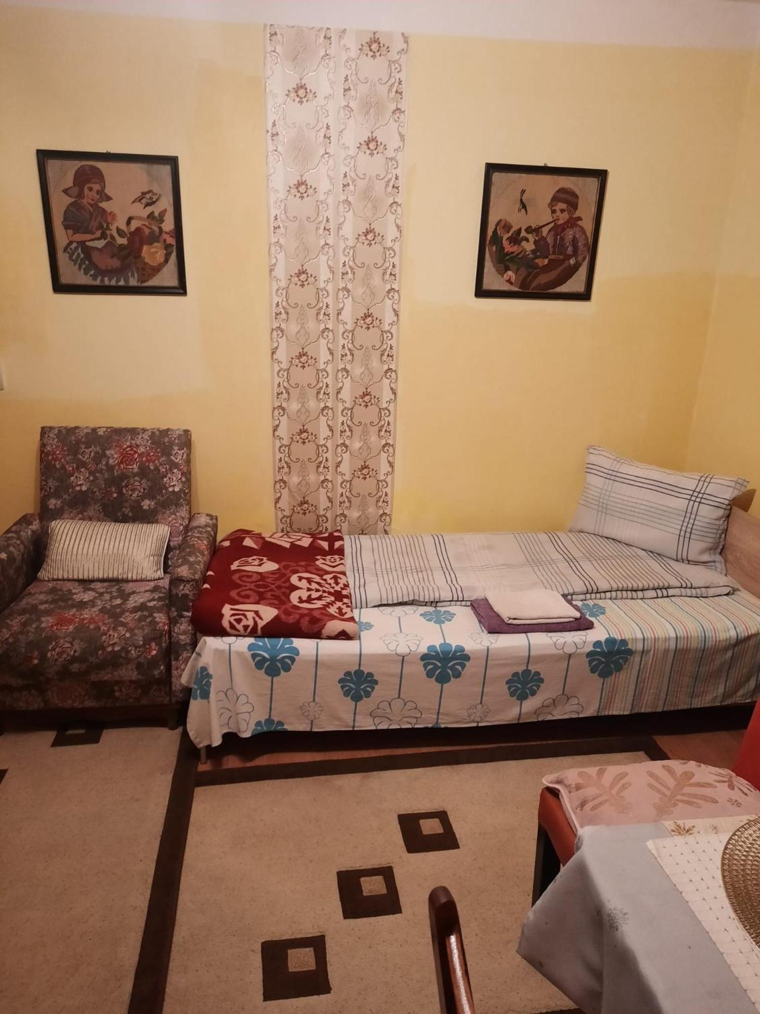 Apartament Cu Doua Camere Si Gradina Cluj-Napoca Eksteriør billede