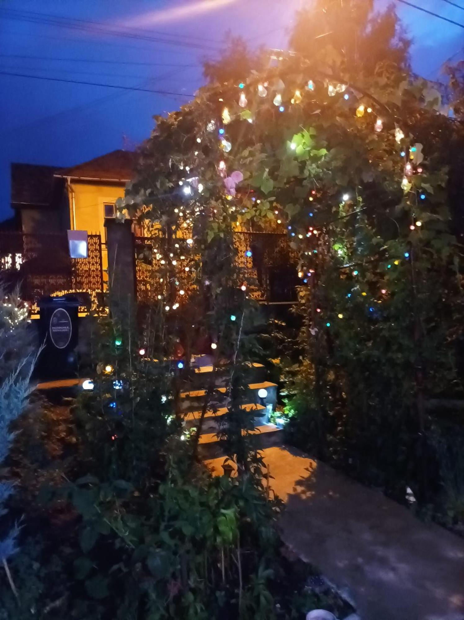 Apartament Cu Doua Camere Si Gradina Cluj-Napoca Eksteriør billede