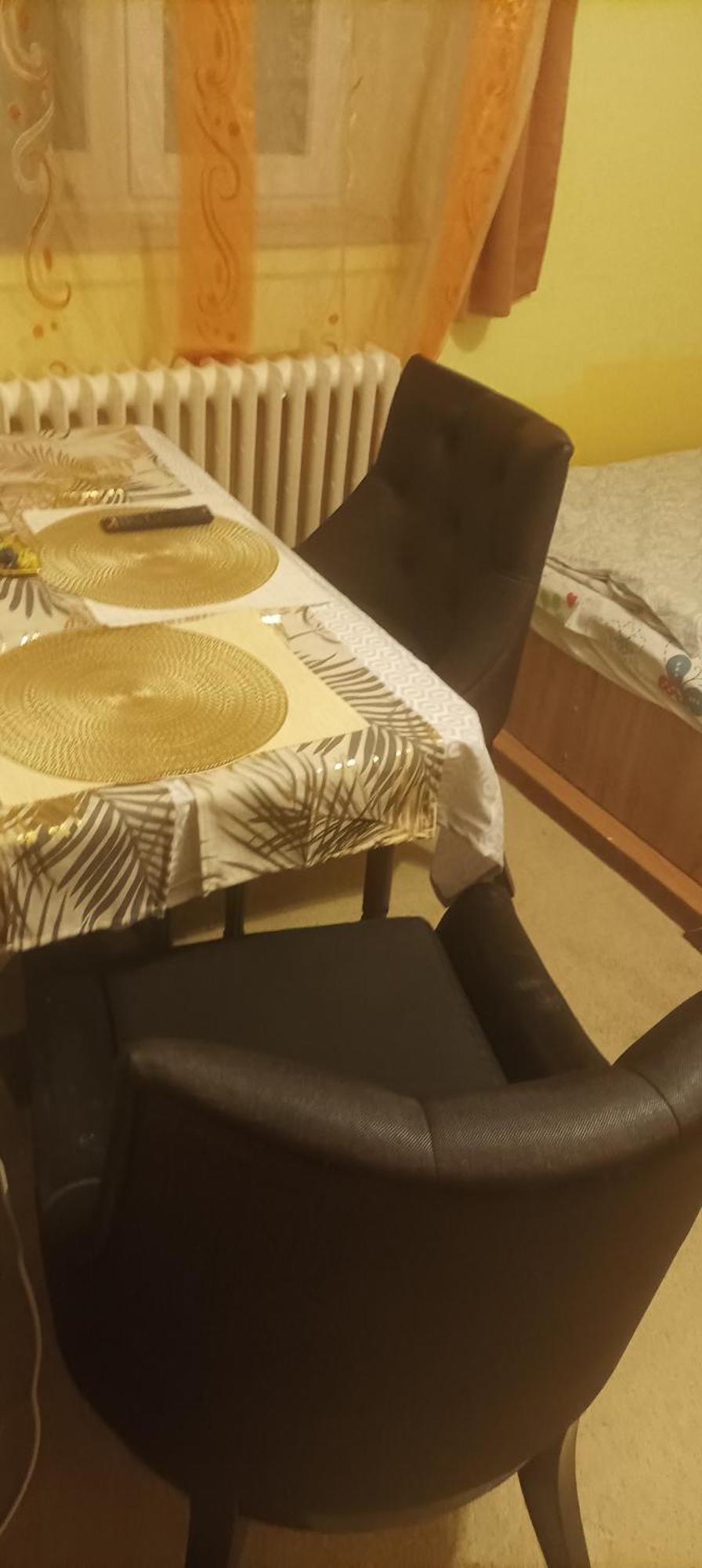 Apartament Cu Doua Camere Si Gradina Cluj-Napoca Eksteriør billede